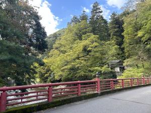 紅葉状況　２