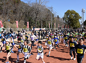 全国健康マラソン井原大会（井原運動公園陸上競技場発着）の画像2