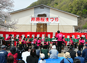 いばら桜フェスタ（井原桜まつり　桜橋公園）の画像1