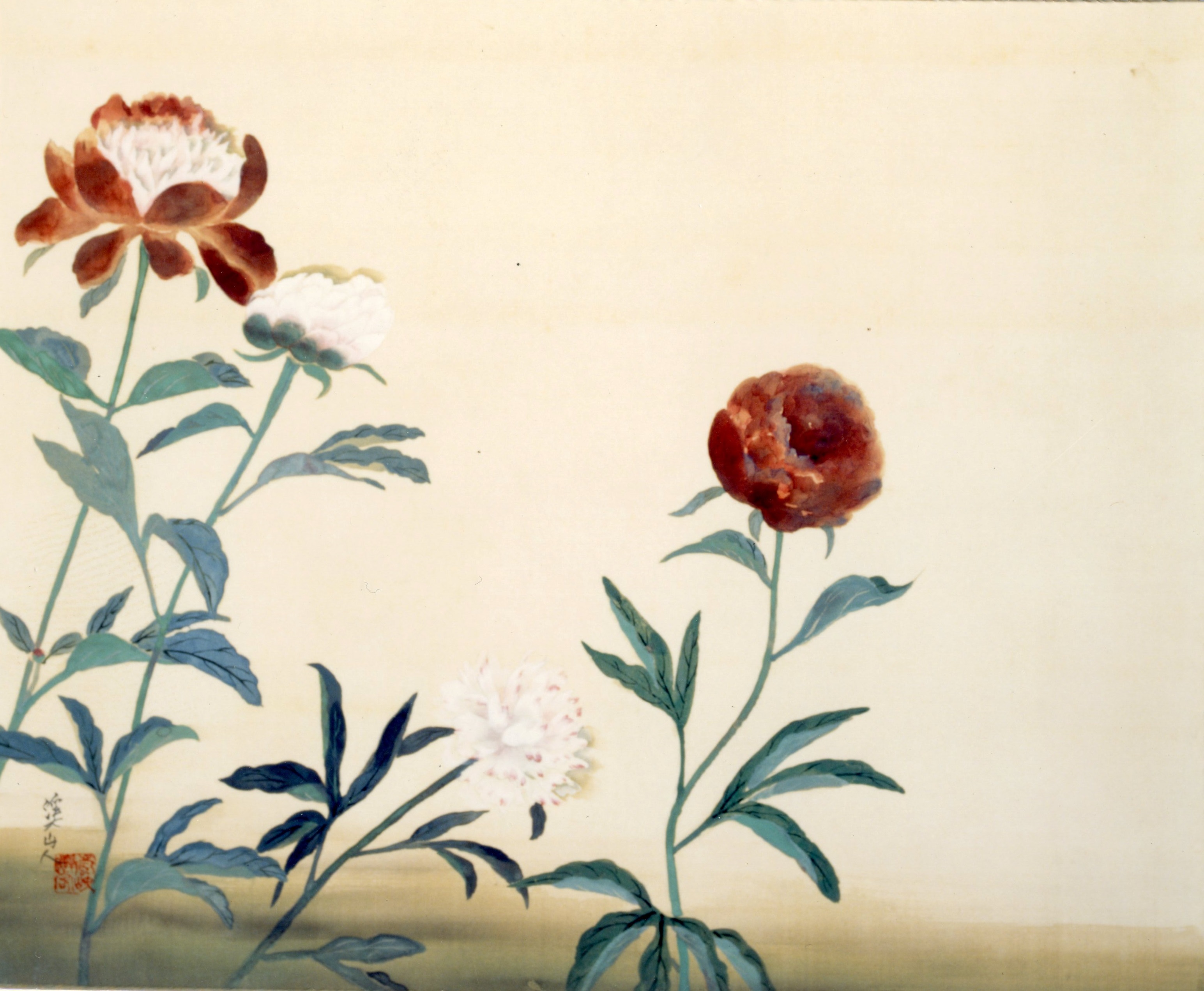 冨田溪仙《芍薬》の画像