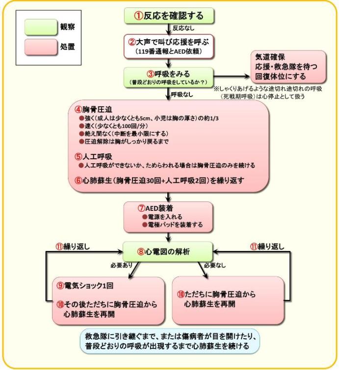 応急手当：救命処置の流れ（心肺蘇生法とAEDの使用）の画像