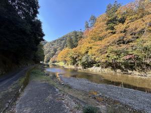 令和7年11月6日(1)