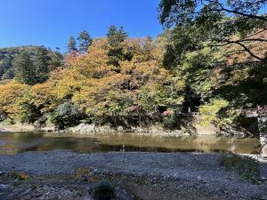 令和7年11月6日(3)